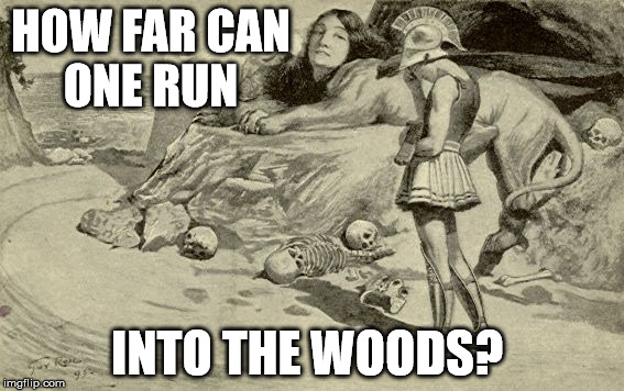 Riddles and Brainteasers | HOW FAR CAN ONE RUN; INTO THE WOODS? | image tagged in riddles and brainteasers | made w/ Imgflip meme maker