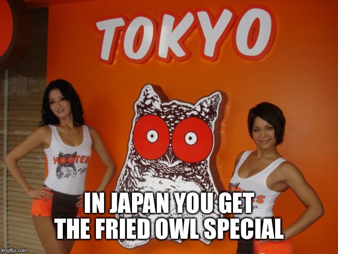 IN JAPAN YOU GET THE FRIED OWL SPECIAL | made w/ Imgflip meme maker