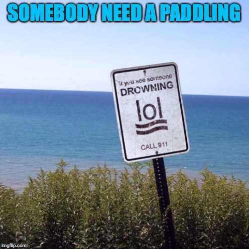 What’s the message here? | SOMEBODY NEED A PADDLING | image tagged in funny signs,lifesaver | made w/ Imgflip meme maker