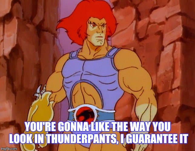 YOU'RE GONNA LIKE THE WAY YOU LOOK IN THUNDERPANTS, I GUARANTEE IT | made w/ Imgflip meme maker