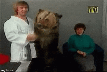 Just don't panic | image tagged in gifs,animals | made w/ Imgflip video-to-gif maker