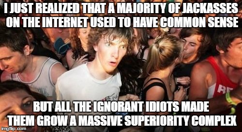 Throwing an idea out there... | I JUST REALIZED THAT A MAJORITY OF JACKASSES ON THE INTERNET USED TO HAVE COMMON SENSE; BUT ALL THE IGNORANT IDIOTS MADE THEM GROW A MASSIVE SUPERIORITY COMPLEX | image tagged in memes,sudden clarity clarence,nsfw,internet,jerks,idiots | made w/ Imgflip meme maker