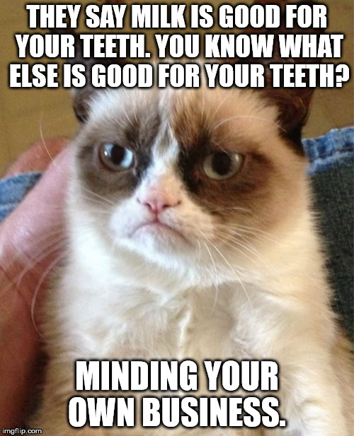 Sounds like good advice to me. | THEY SAY MILK IS GOOD FOR YOUR TEETH. YOU KNOW WHAT ELSE IS GOOD FOR YOUR TEETH? MINDING YOUR OWN BUSINESS. | image tagged in memes,grumpy cat,funny | made w/ Imgflip meme maker