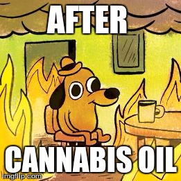 Dog in burning house |  AFTER; CANNABIS OIL | image tagged in dog in burning house | made w/ Imgflip meme maker