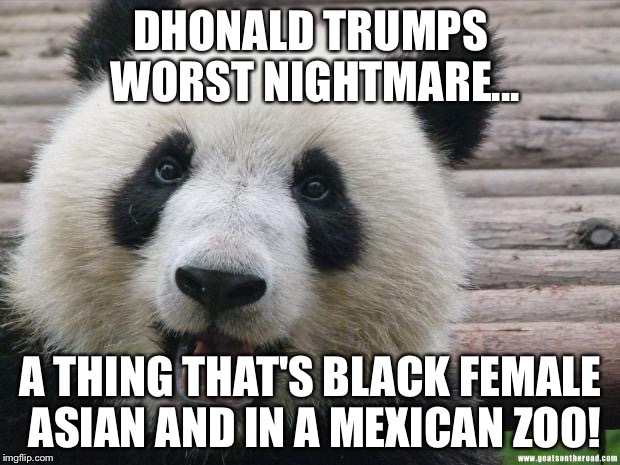 Happy Panda | DHONALD TRUMPS WORST NIGHTMARE... A THING THAT'S BLACK FEMALE ASIAN AND IN A MEXICAN ZOO! | image tagged in happy panda | made w/ Imgflip meme maker