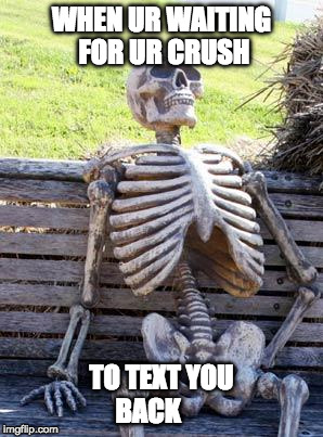 Waiting Skeleton Meme | WHEN UR WAITING FOR UR CRUSH; TO TEXT YOU BACK | image tagged in memes,waiting skeleton | made w/ Imgflip meme maker
