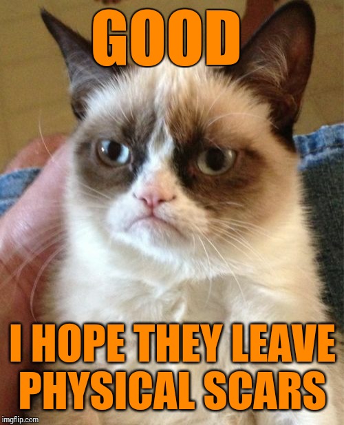 Grumpy Cat Meme | GOOD I HOPE THEY LEAVE PHYSICAL SCARS | image tagged in memes,grumpy cat | made w/ Imgflip meme maker