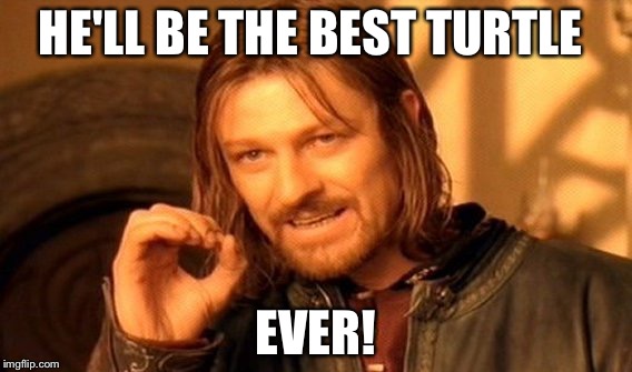 One Does Not Simply Meme | HE'LL BE THE BEST TURTLE EVER! | image tagged in memes,one does not simply | made w/ Imgflip meme maker