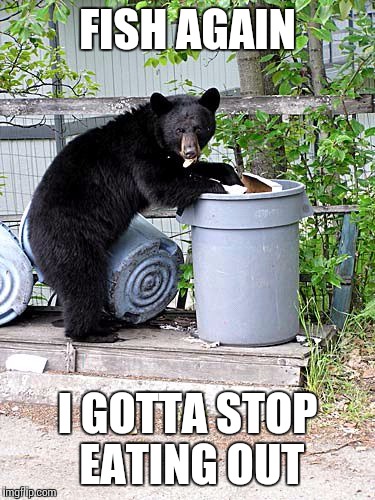 If I wanted to eat healthy I could have stayed home | FISH AGAIN; I GOTTA STOP EATING OUT | image tagged in funny meme,original memes,bear | made w/ Imgflip meme maker