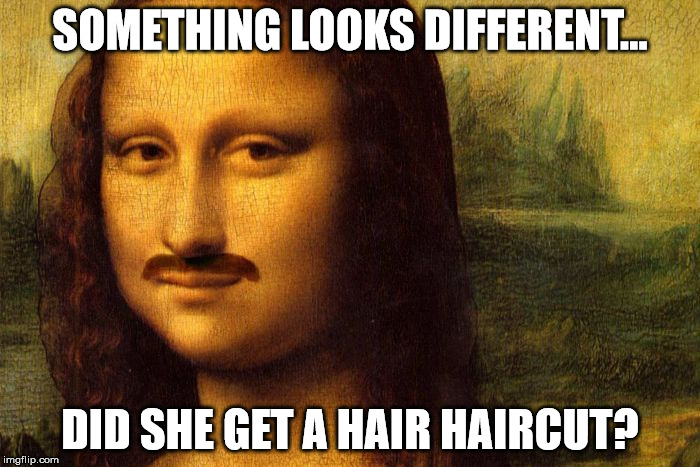 SOMETHING LOOKS DIFFERENT... DID SHE GET A HAIR HAIRCUT? | image tagged in mona lisa | made w/ Imgflip meme maker