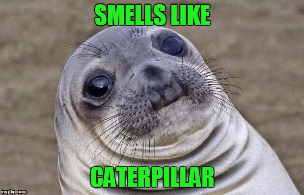 Awkward Moment Sealion Meme | SMELLS LIKE CATERPILLAR | image tagged in memes,awkward moment sealion | made w/ Imgflip meme maker