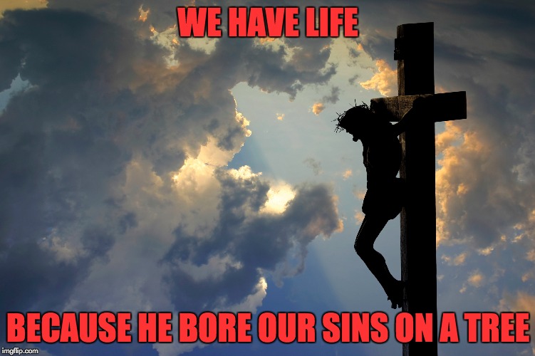 May God bless you and keep you in all His ways | WE HAVE LIFE; BECAUSE HE BORE OUR SINS ON A TREE | image tagged in good friday,jesus,jesus crucifixion | made w/ Imgflip meme maker