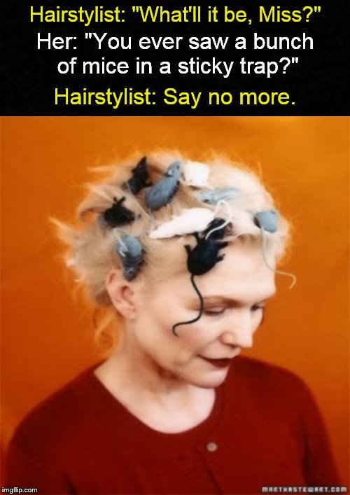 Meanwhile, at the Beauty Salon.... | Hairstylist: "What'll it be, Miss?"; Her: "You ever saw a bunch of mice in a sticky trap?"; Hairstylist: Say no more. | image tagged in hairstyle,haircut,hairdresser,hair meme,funny haircuts | made w/ Imgflip meme maker