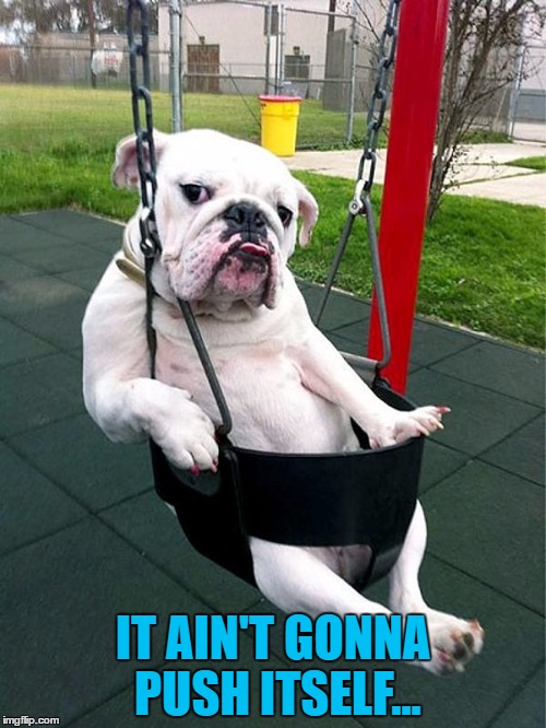 Push it! Push it real good... :) | IT AIN'T GONNA PUSH ITSELF... | image tagged in memes,dog week,animals,dogs | made w/ Imgflip meme maker