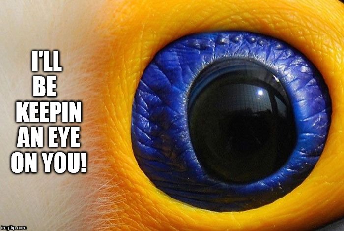 I'LL BE   KEEPIN AN EYE ON YOU! | image tagged in eye on you,i'll be keeping,got my eye on you | made w/ Imgflip meme maker
