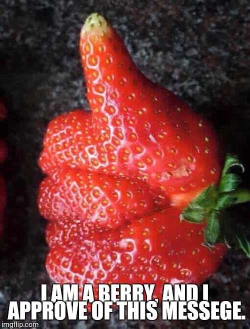 I like this berry much | I AM A BERRY, AND I APPROVE OF THIS MESSEGE. | image tagged in i like this berry much | made w/ Imgflip meme maker
