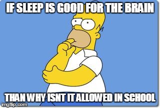 Thinking Homer | IF SLEEP IS GOOD FOR THE BRAIN; THAN WHY ISNT IT ALLOWED IN SCHOOL | image tagged in thinking homer | made w/ Imgflip meme maker