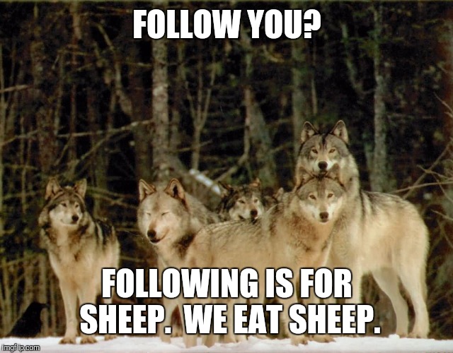 wolf pack | FOLLOW YOU? FOLLOWING IS FOR SHEEP.  WE EAT SHEEP. | image tagged in wolf pack | made w/ Imgflip meme maker