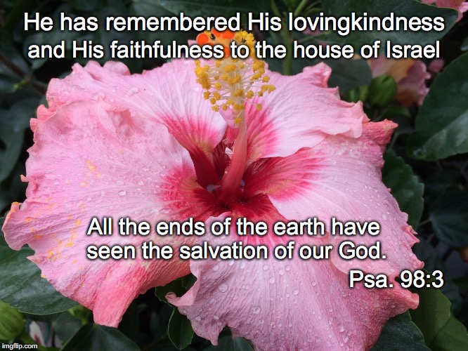 He has remembered His lovingkindness; and His faithfulness to the house of Israel; All the ends of the earth have seen the salvation of our God. Psa. 98:3 | image tagged in lovingkindness | made w/ Imgflip meme maker