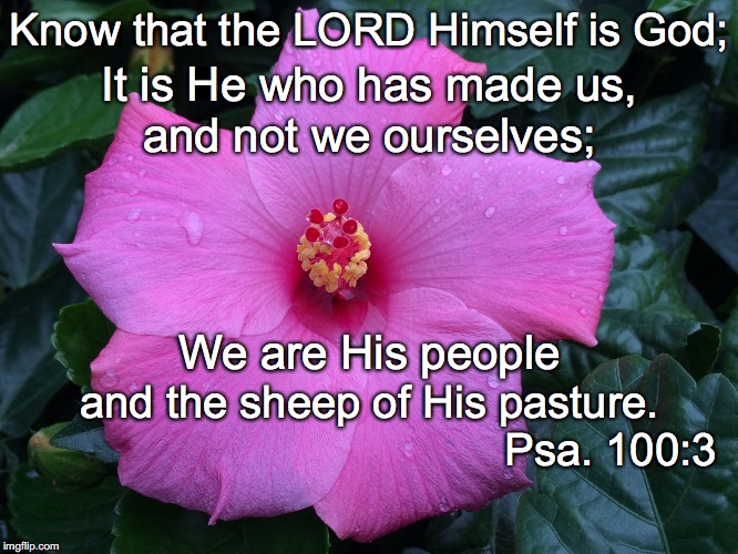 Know that the LORD Himself is God;; It is He who has made us, and not we ourselves;; We are His people; and the sheep of His pasture. Psa. 100:3 | image tagged in himself | made w/ Imgflip meme maker