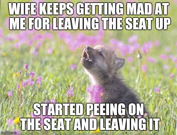 Baby Insanity Wolf | WIFE KEEPS GETTING MAD AT ME FOR LEAVING THE SEAT UP; STARTED PEEING ON THE SEAT AND LEAVING IT | image tagged in memes,baby insanity wolf | made w/ Imgflip meme maker