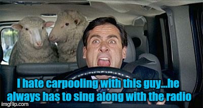 And you thought your morning commute was baaad.... | I hate carpooling with this guy...he always has to sing along with the radio | image tagged in sheep | made w/ Imgflip meme maker