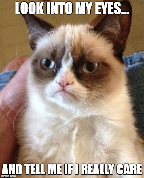 Grumpy Cat | LOOK INTO MY EYES... AND TELL ME IF I REALLY CARE | image tagged in memes,grumpy cat | made w/ Imgflip meme maker