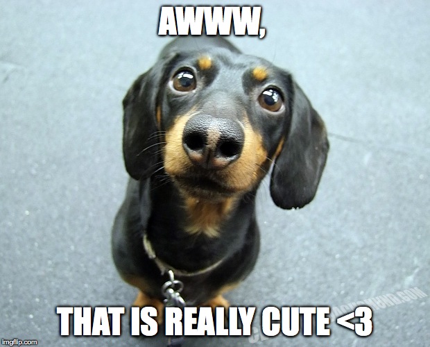 AWWW, THAT IS REALLY CUTE <3 | made w/ Imgflip meme maker