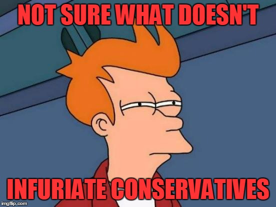 Futurama Fry Meme | NOT SURE WHAT DOESN'T INFURIATE CONSERVATIVES | image tagged in memes,futurama fry | made w/ Imgflip meme maker