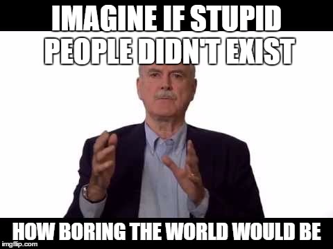 IMAGINE IF STUPID PEOPLE DIDN'T EXIST; HOW BORING THE WORLD WOULD BE | image tagged in memes | made w/ Imgflip meme maker