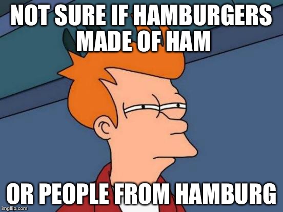 Futurama Fry | NOT SURE IF HAMBURGERS MADE OF HAM; OR PEOPLE FROM HAMBURG | image tagged in memes,futurama fry | made w/ Imgflip meme maker