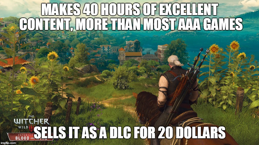 MAKES 40 HOURS OF EXCELLENT CONTENT, MORE THAN MOST AAA GAMES; SELLS IT AS A DLC FOR 20 DOLLARS | image tagged in gaming | made w/ Imgflip meme maker