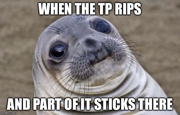 Awkward Moment Sealion | WHEN THE TP RIPS; AND PART OF IT STICKS THERE | image tagged in memes,awkward moment sealion | made w/ Imgflip meme maker