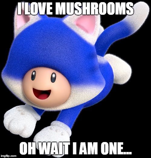 I LOVE MUSHROOMS; OH WAIT I AM ONE... | image tagged in i loev mushrooms | made w/ Imgflip meme maker