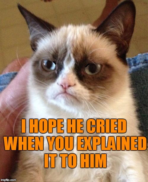 Grumpy Cat Meme | I HOPE HE CRIED WHEN YOU EXPLAINED IT TO HIM | image tagged in memes,grumpy cat | made w/ Imgflip meme maker