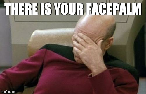 THERE IS YOUR FACEPALM | image tagged in memes,captain picard facepalm | made w/ Imgflip meme maker