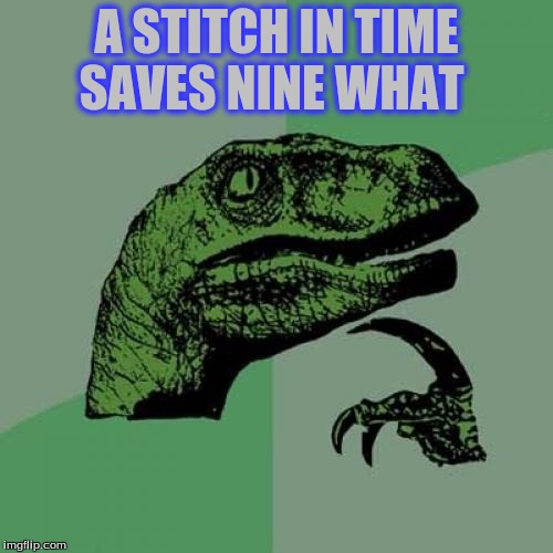 Philosoraptor | A STITCH IN TIME SAVES NINE WHAT | image tagged in memes,philosoraptor | made w/ Imgflip meme maker
