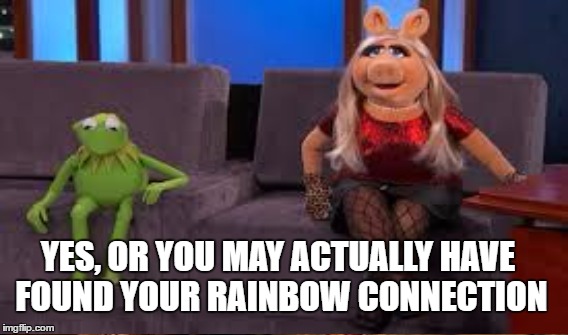 YES, OR YOU MAY ACTUALLY HAVE FOUND YOUR RAINBOW CONNECTION | made w/ Imgflip meme maker