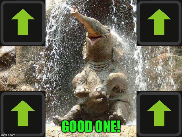 Upvote Elephant | GOOD ONE! | image tagged in upvote elephant | made w/ Imgflip meme maker