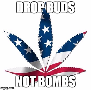 USA weed | DROP BUDS; NOT BOMBS | image tagged in usa weed | made w/ Imgflip meme maker