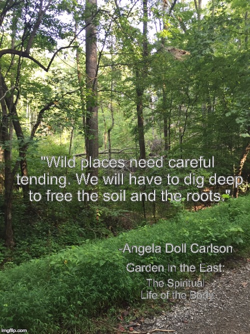 Wild Places | "Wild places need careful tending. We will have to dig deep to free the soil and the roots."; -Angela Doll Carlson; Garden in the East:; The Spiritual Life of the Body | image tagged in christianity | made w/ Imgflip meme maker
