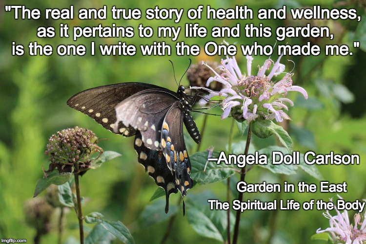 Garden in the East | "The real and true story of health and wellness, as it pertains to my life and this garden, is the one I write with the One who made me."; –Angela Doll Carlson; Garden in the East; The Spiritual Life of the Body | image tagged in christianity,eating healthy | made w/ Imgflip meme maker