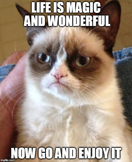 Grumpy Cat Meme | LIFE IS MAGIC AND WONDERFUL; NOW GO AND ENJOY IT | image tagged in memes,grumpy cat | made w/ Imgflip meme maker