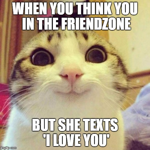 Smiling Cat | WHEN YOU THINK YOU IN THE FRIENDZONE; BUT SHE TEXTS 'I LOVE YOU' | image tagged in memes,smiling cat | made w/ Imgflip meme maker