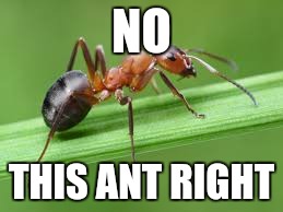 NO THIS ANT RIGHT | made w/ Imgflip meme maker