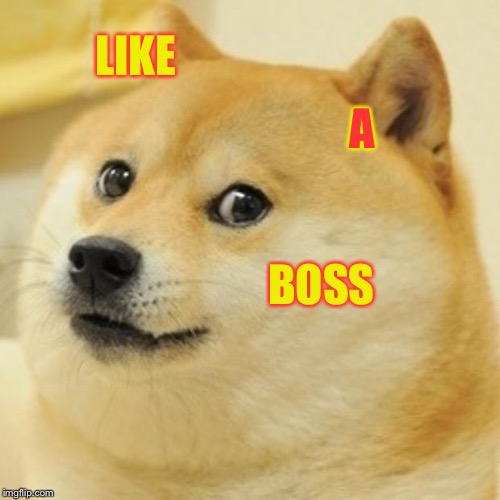 Like a boss! (Anybody know this song?) | LIKE; A; BOSS | image tagged in memes,doge | made w/ Imgflip meme maker