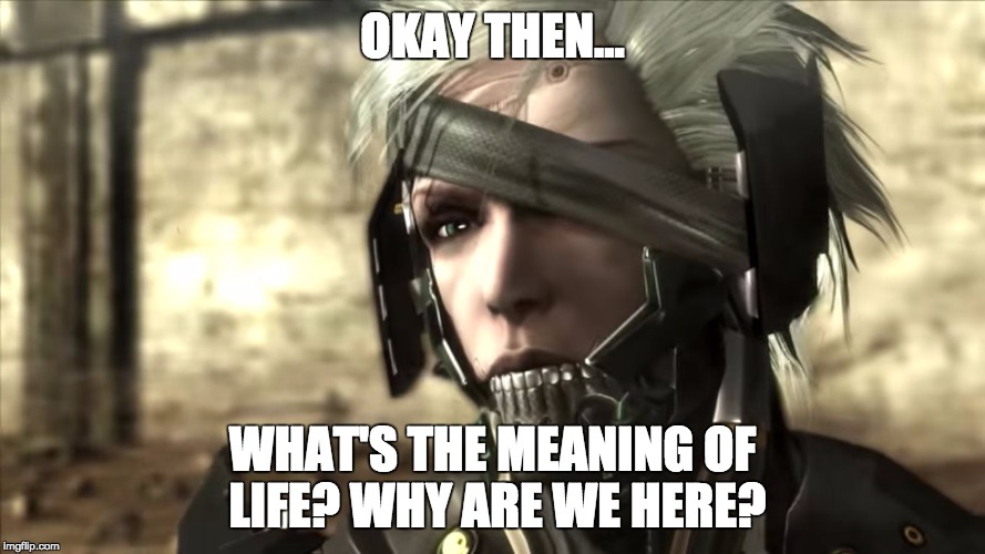 Pondering Raiden | OKAY THEN... WHAT'S THE MEANING OF LIFE? WHY ARE WE HERE? | image tagged in ponderraiden,metal gear rising,raiden | made w/ Imgflip meme maker