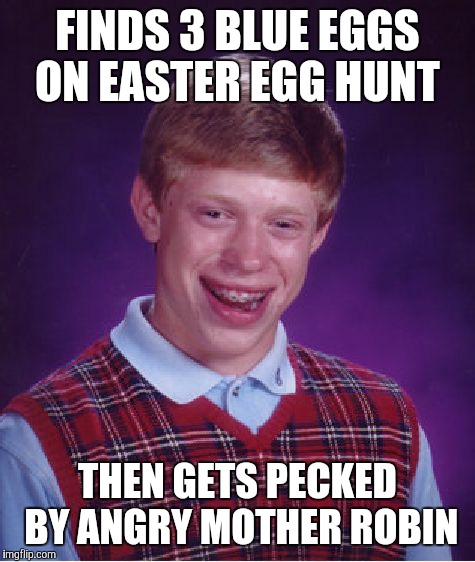 Who would even hide Easter eggs in a bird's nest anyway?  | FINDS 3 BLUE EGGS ON EASTER EGG HUNT; THEN GETS PECKED BY ANGRY MOTHER ROBIN | image tagged in memes,bad luck brian,easter,easter eggs,robin eggs | made w/ Imgflip meme maker