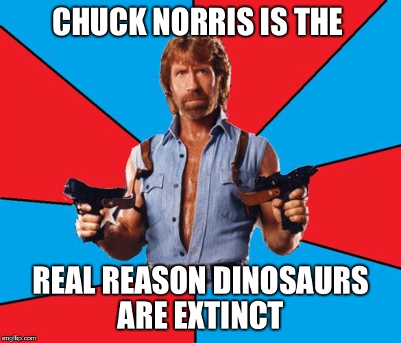 Chuck Norris With Guns | CHUCK NORRIS IS THE; REAL REASON DINOSAURS ARE EXTINCT | image tagged in memes,chuck norris with guns,chuck norris,dinosaur | made w/ Imgflip meme maker