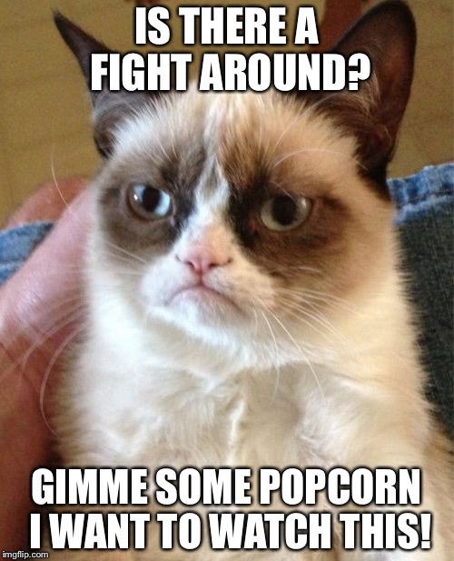 Grumpy Cat Meme | IS THERE A FIGHT AROUND? GIMME SOME POPCORN I WANT TO WATCH THIS! | image tagged in memes,grumpy cat | made w/ Imgflip meme maker